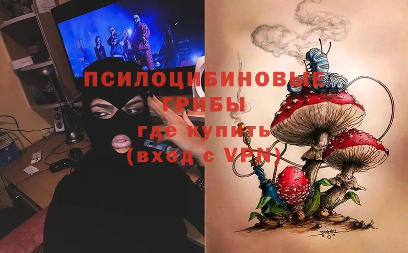 Псилоцибиновые грибы Magic Shrooms  купить  цена  Полевской 